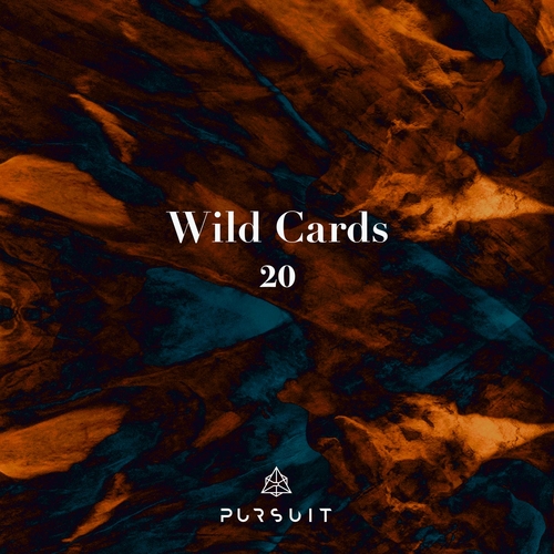 VA - Wild Cards 20 [PRST093]